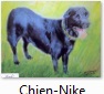 Chien-Nike.jpg