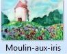 Moulin-aux-iris.JPG