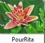 PourRita.JPG