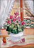 cyclamen.JPG