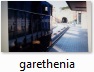 garethenia.JPG