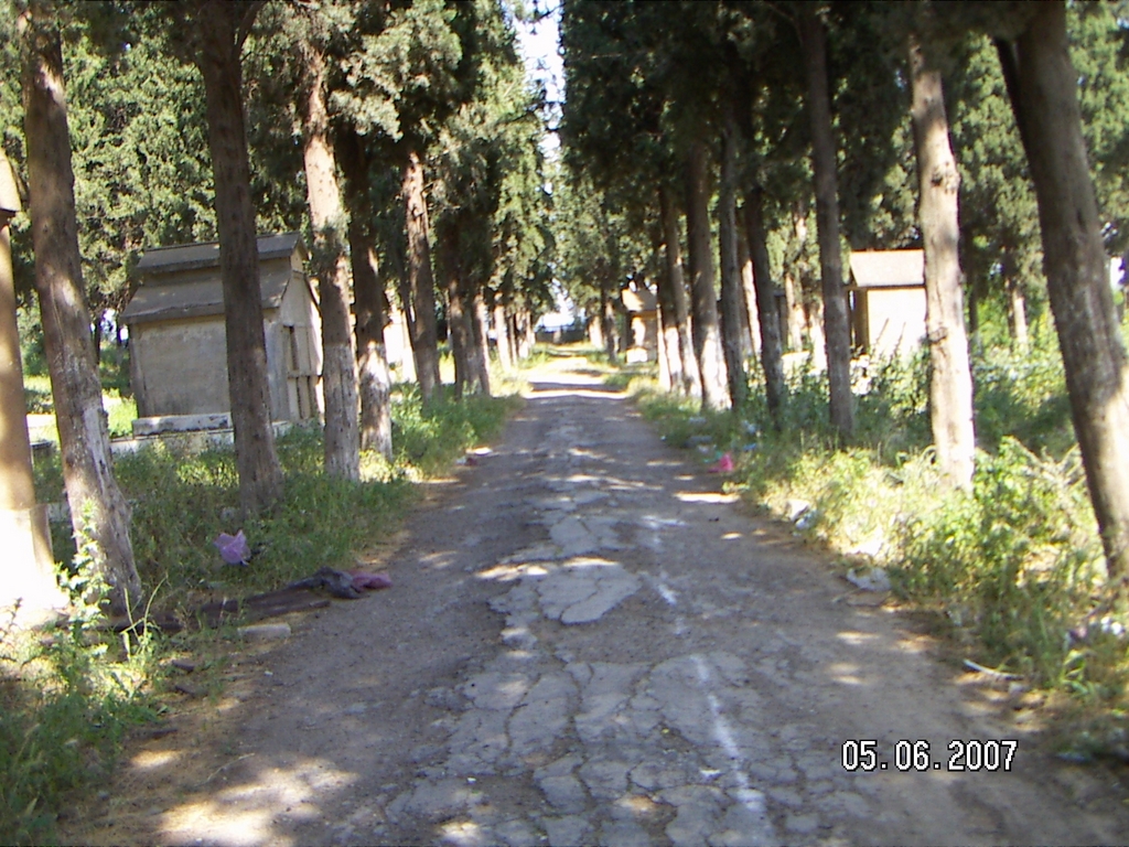 cimetiere1.jpg