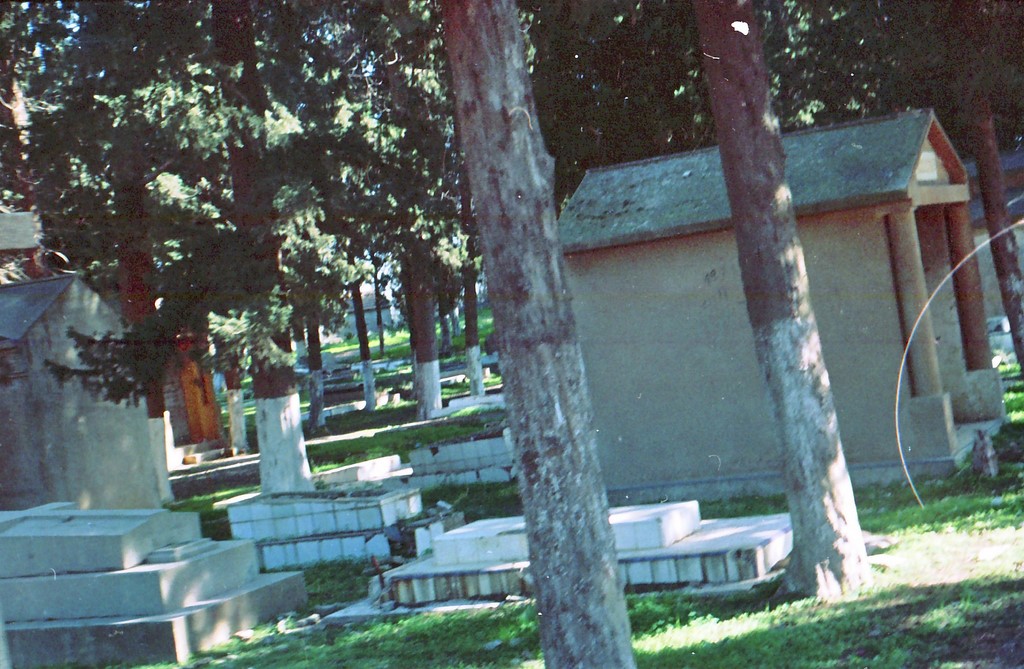 cimetiere2007.jpg