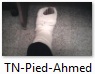 Pied-Ahmed.jpg