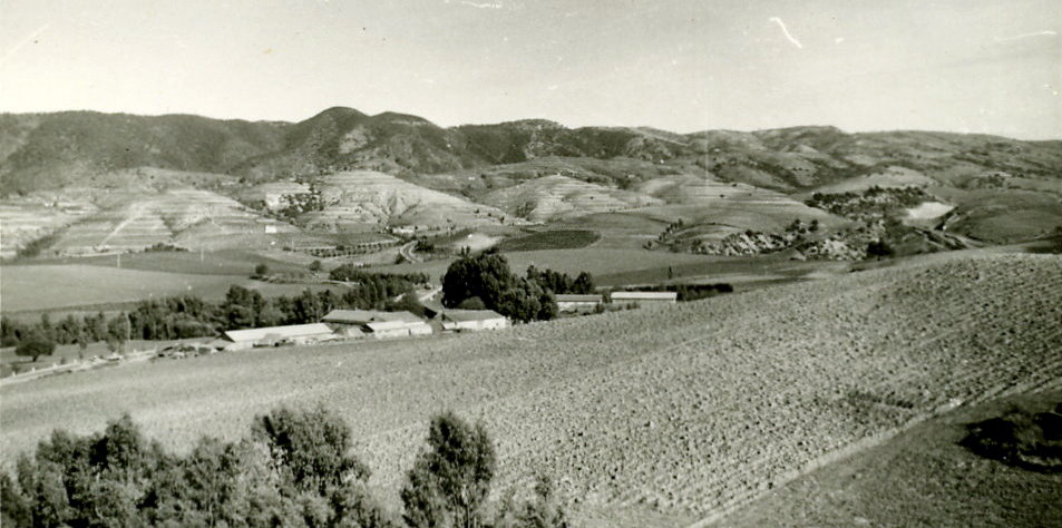 FermeRoll1958.jpg